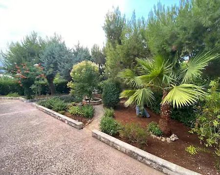 Villa Adelaide Ceglie Messapica Ngoại thất bức ảnh