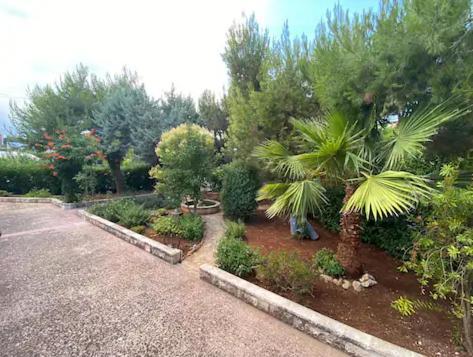 Villa Adelaide Ceglie Messapica Ngoại thất bức ảnh